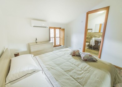Location mensuelle de chambres à Viterbo