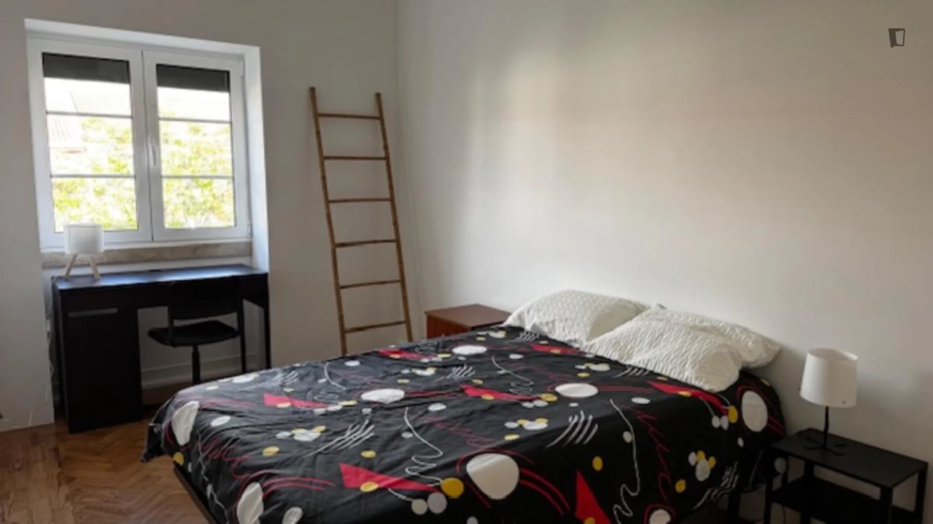 Camera accogliente per studenti disponibile a 