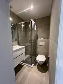 Logement entier à Rue des Eburons, Bruxelles, image 6 de 10
