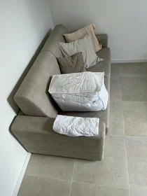 Logement entier à Rue des Eburons, Bruxelles, image 9 de 10
