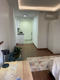Studio à Hrant Dink Sokak, image 19 de 28