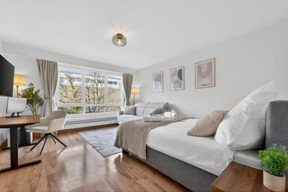 Appartamento intero in Reinacherstrasse 68, immagine 1 di 9