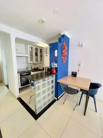 Appartamento intero in Rua Doutor Cesário Mota Júnior, 565, immagine 5 di 16