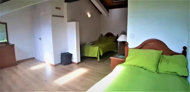 Chambre en colocation dans un appartement de 3 chambres Ponta-delgada