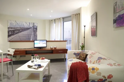 Entire apartment at Carrer de Torres i Amat 13, image 1 of 14