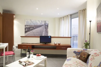 Entire apartment at Carrer de Torres i Amat 13, image 2 of 14
