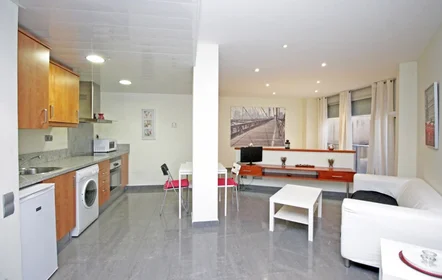 Entire apartment at Carrer de Torres i Amat 13, image 11 of 14