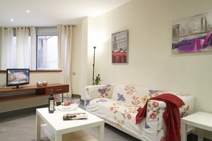 Entire apartment at Carrer de Torres i Amat 13, image 4 of 14