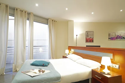 Entire apartment at Carrer de Torres i Amat 13, image 5 of 14