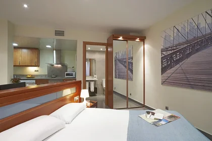Entire apartment at Carrer de Torres i Amat 13, image 6 of 14