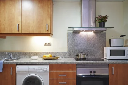 Entire apartment at Carrer de Torres i Amat 13, image 10 of 14