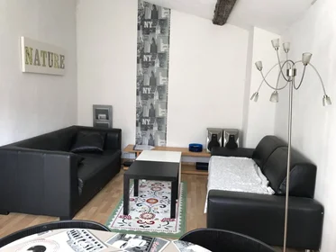 Habitación privada en Grenoble, 38100, imagen 1 de 10