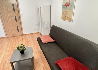 3 yatak odalı dairede ortak oda Poznań