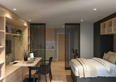 Privatzimmer in der 5 Upper Duke Street, Liverpool, L1 9DU, bild 7 von 19
