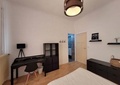 Habitación privada muy luminosa en Perpignan