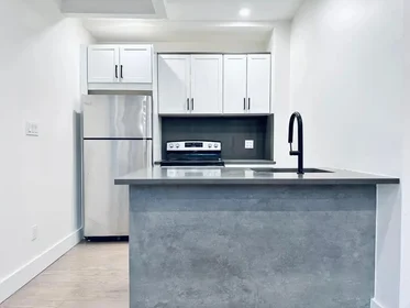 Entire place in residence at 2911 Albemarle Road,  3F, Prospect Lefferts Gardens, New York, NY, 11226, image 8 of 12
