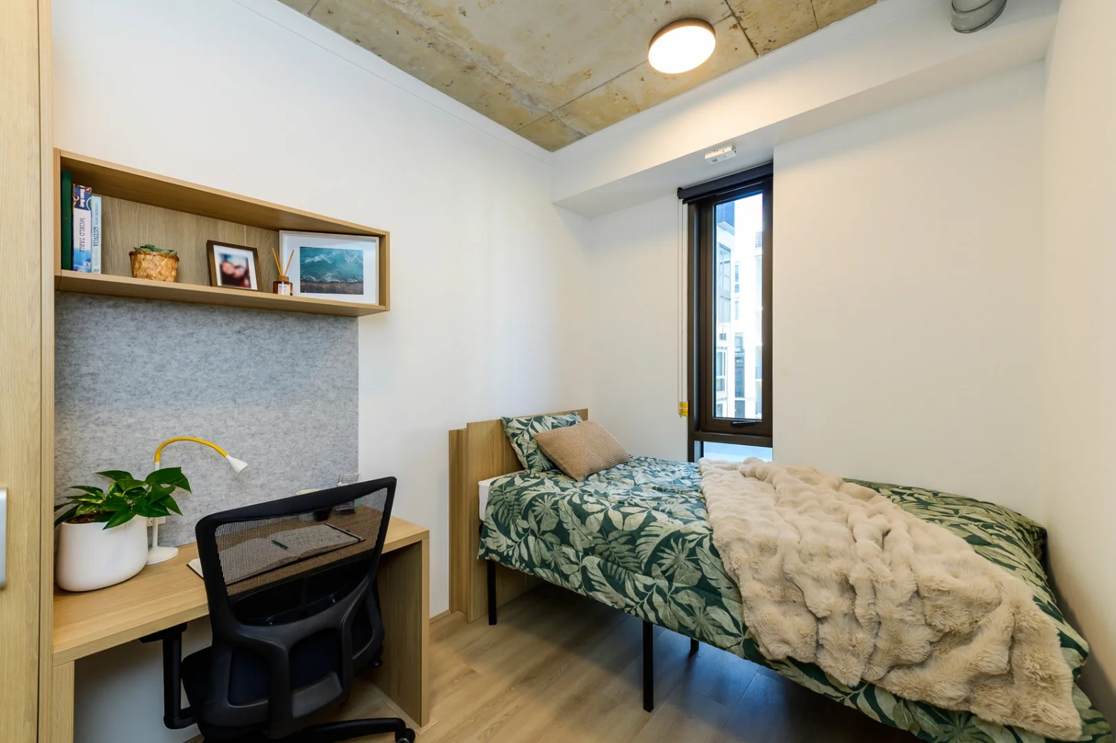 Chambre d'étudiant bon marché à proximité du campus dans 