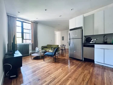 Entire place in residence at 1066 Putnam Avenue,   2R, Bedford-Stuyvesant, Brooklyn, NY, 11221, image 7 of 11
