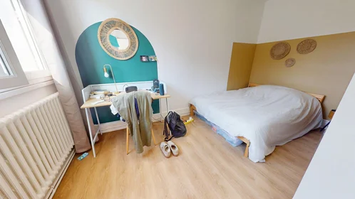 Stanza privata in 115 Rue Du Professeur Beauvisage, immagine 1 di 10
