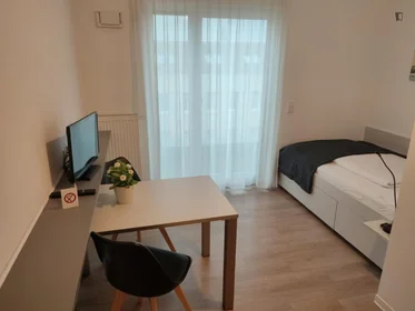 Gesamte Unterkunft in der Wilhelminenhofstraße, bild 3 von 11