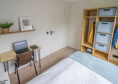 Bright private room in The Hague