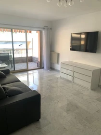 Entire fully furnished flat in Antibes