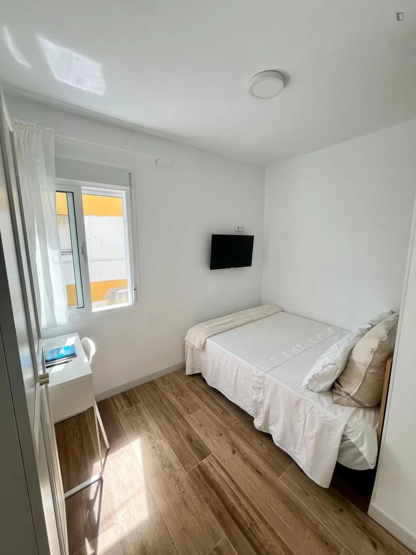 Affordable room for students with ample lighting in 