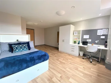 Private room at John Bell House Roost Belfast BT1 6DJ, image 6 of 11