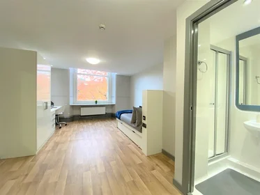 Private room at John Bell House Roost Belfast BT1 6DJ, image 9 of 11