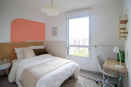 Chambre privée à Villeurbanne, 69100, image 1 de 10