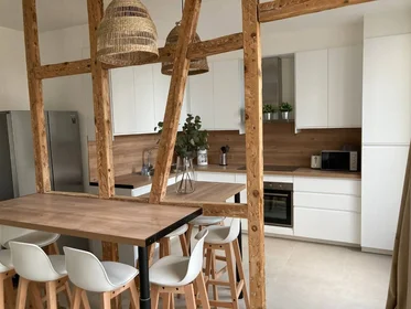 Privatzimmer in der Strasbourg, 67000, bild 3 von 14