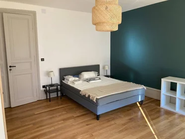 Privatzimmer in der Strasbourg, 67000, bild 6 von 14