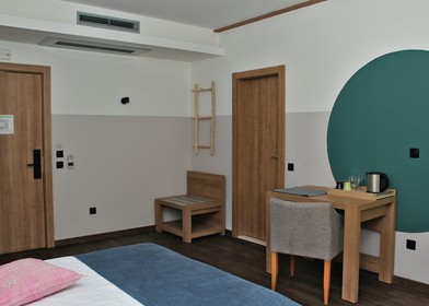 Bright private room in Sofia