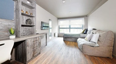 Özel oda konumu Marketgait Apartments Dundee DD1 1PJ, 6 20 görüntüsü