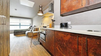 Özel oda konumu Marketgait Apartments Dundee DD1 1PJ, 8 20 görüntüsü