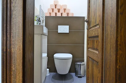 Prywatny pokój Pionýrská 247/11, obraz 12 24