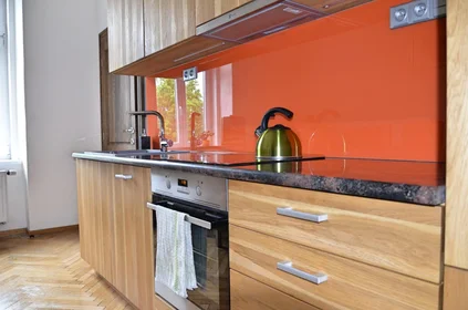 Prywatny pokój Pionýrská 247/11, obraz 7 24
