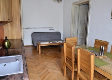 Pokój do wynajęcia z podwójnym łóżkiem w Brno