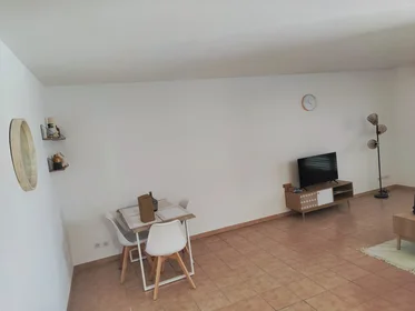 Privatzimmer in der Rue Nicolas Copernic, bild 7 von 8