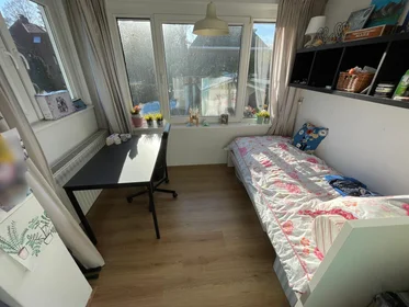 Prywatny pokój Voortsweg, obraz 1 10