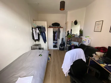 Private room at Oppenheimstraat, image 1 of 3