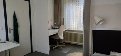 Prywatny pokój Theo van der Schuerlaan, obraz 1 10
