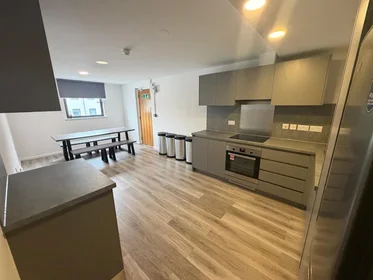 Chambre privée en résidence à North Church Street, Nottingham NG1 4BR, United Kingdom, image 4 de 31
