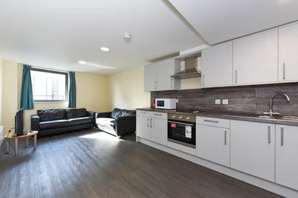 私人房间 在住宅内 在 North Church Street, Nottingham NG1 4BR, United Kingdom, 30的图像4