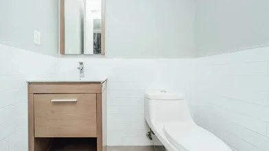 Evin tamamı Ikamet yerinde konumu 102 Rogers Avenue,  8, Crown Heights, New York, NY, 11216, 9 12 görüntüsü