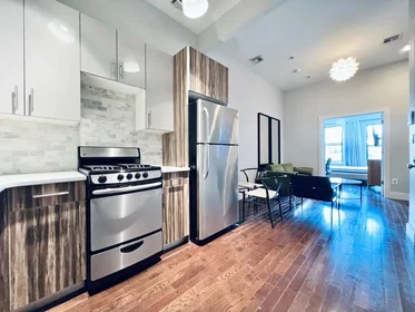 Entire place in residence at 1136 Willoughby Avenue,  3L, Bushwick, Brooklyn, NY, 11237, image 5 of 7