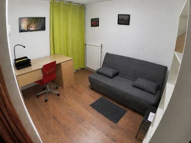 Prywatny pokój Grenoble, 38100, obraz 1 10