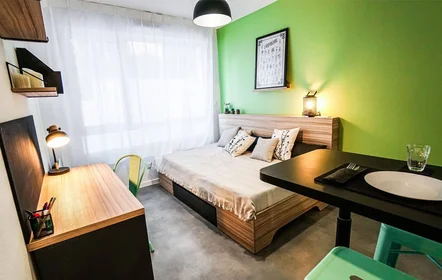 Chambre privée à Montpellier, 34090, image 1 de 10