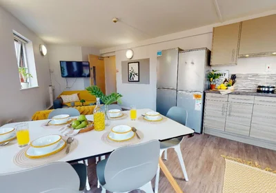 Privatzimmer in der iQ Lambert & Fairfield House Manchester M60 7LH, bild 12 von 12