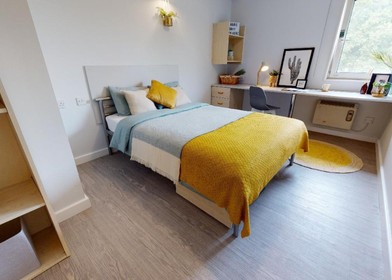 Habitación en alquiler con cama doble Manchester